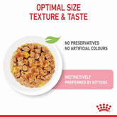 Royal Canin Kitten Wet Food in Jelly 12 x 85g